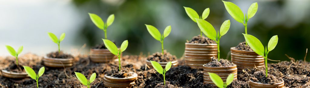 représentation abstraite de la pérennité d'entreprise